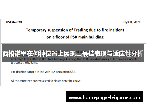西格诺里在何种位置上展现出最佳表现与适应性分析