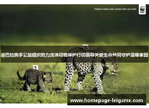 迪巴拉携手公益组织助力流浪动物保护行动倡导关爱生命共同守护温暖家园